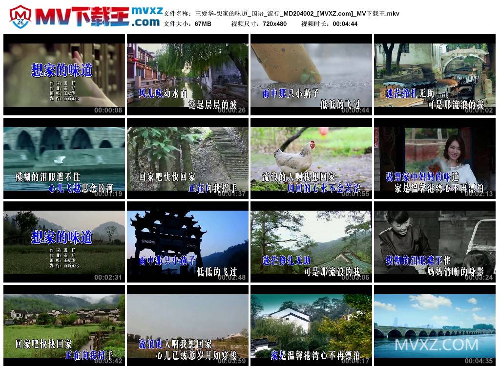 王爱华-想家的味道_国语_流行_MD204002